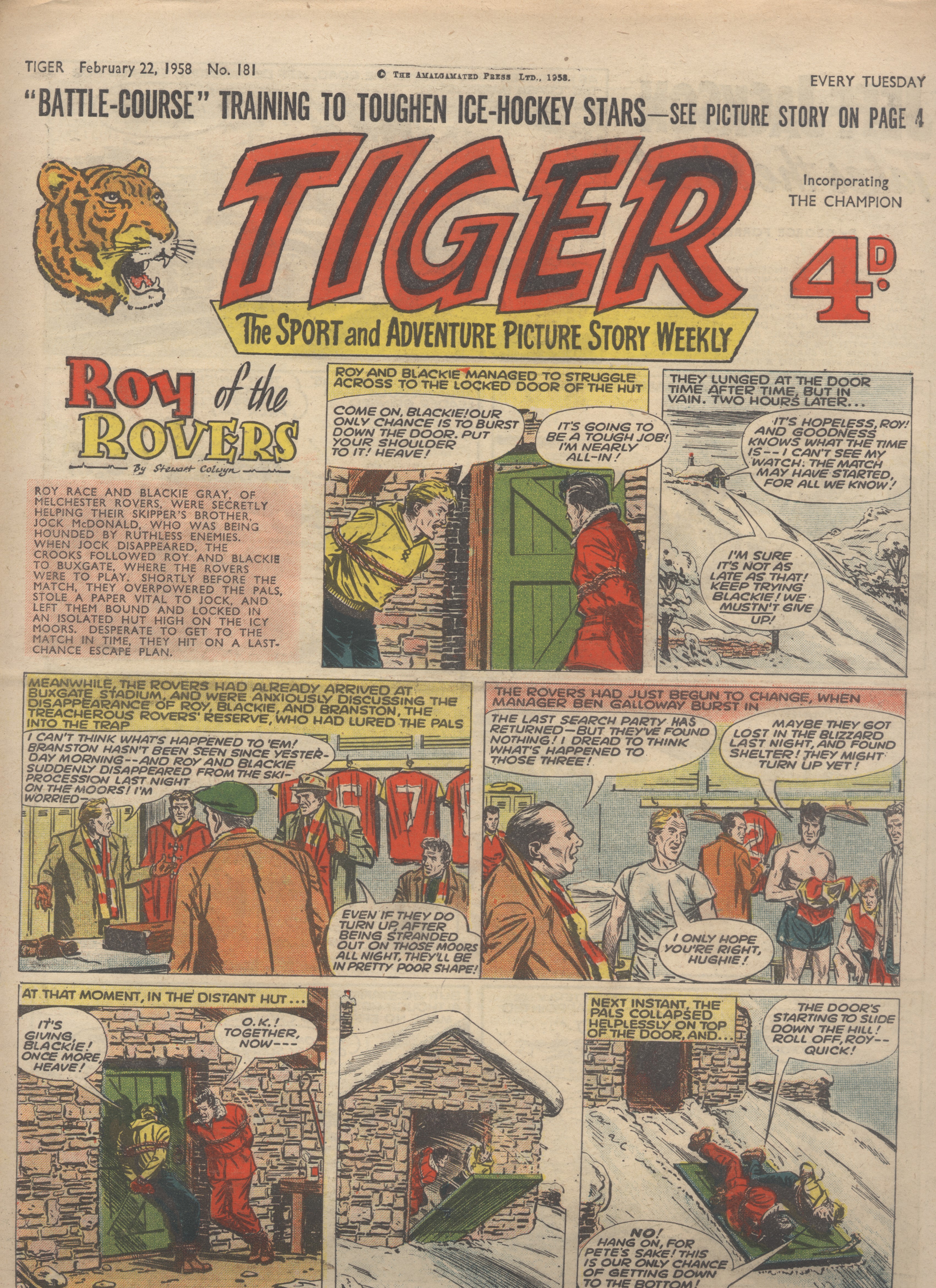 Tiger